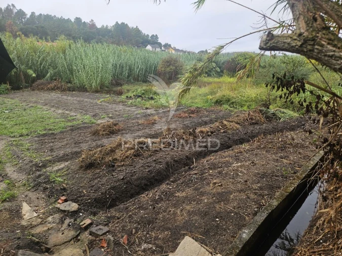 Quinta T3 para Venda em Bemposta Foto 5