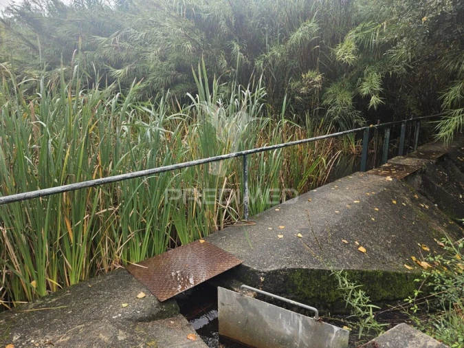 Quinta T3 para Venda em Bemposta Foto 8