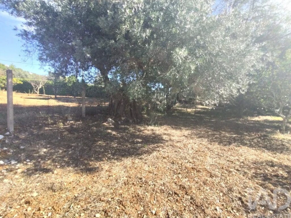 Terreno para Venda em São Brás de Alportel Foto 9