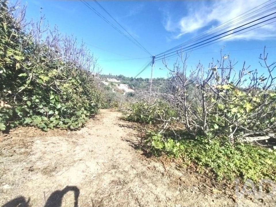 Terreno para Venda em São Brás de Alportel Foto 22