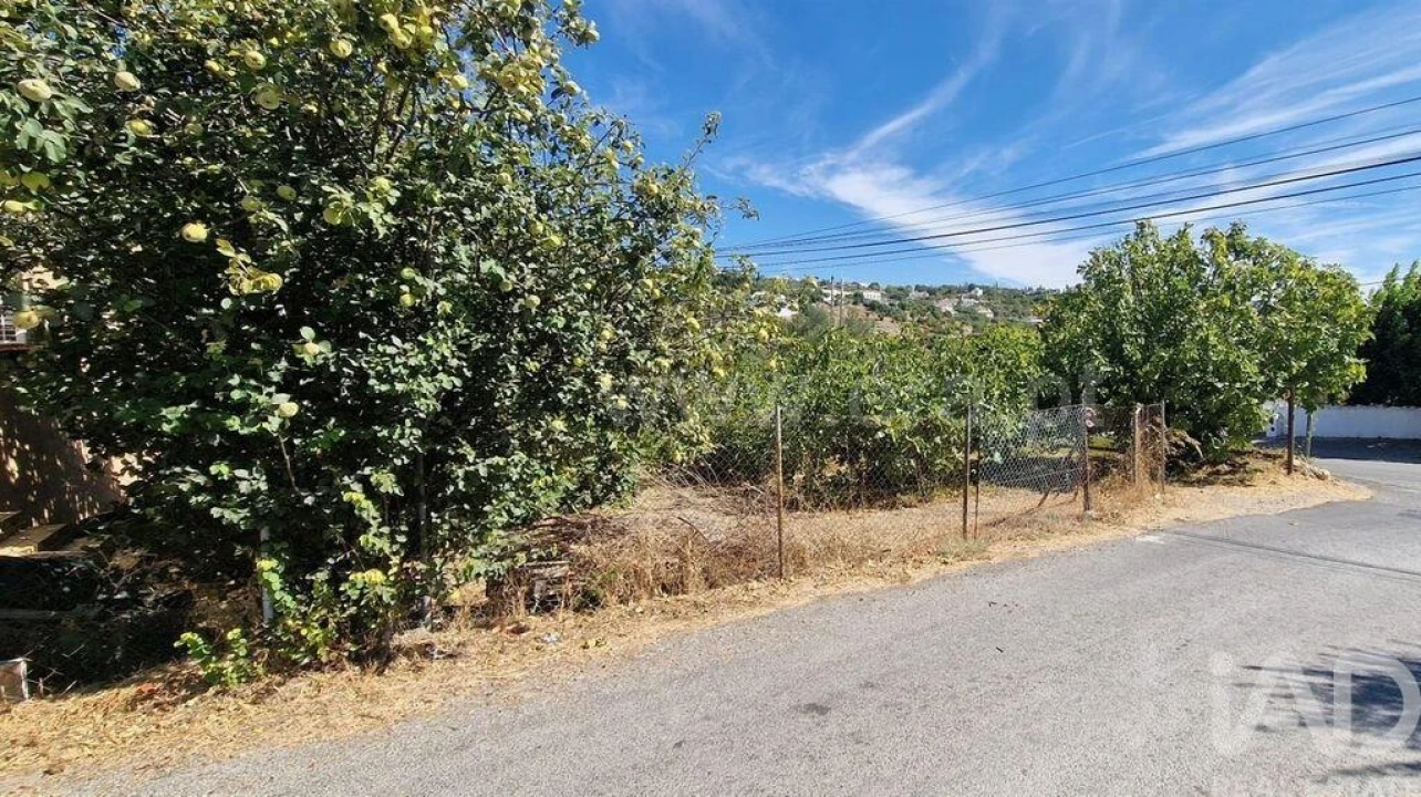 Terreno para Venda em São Brás de Alportel Foto 20