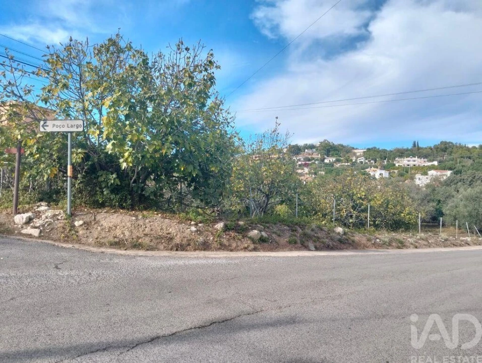 Terreno para Venda em São Brás de Alportel Foto 13