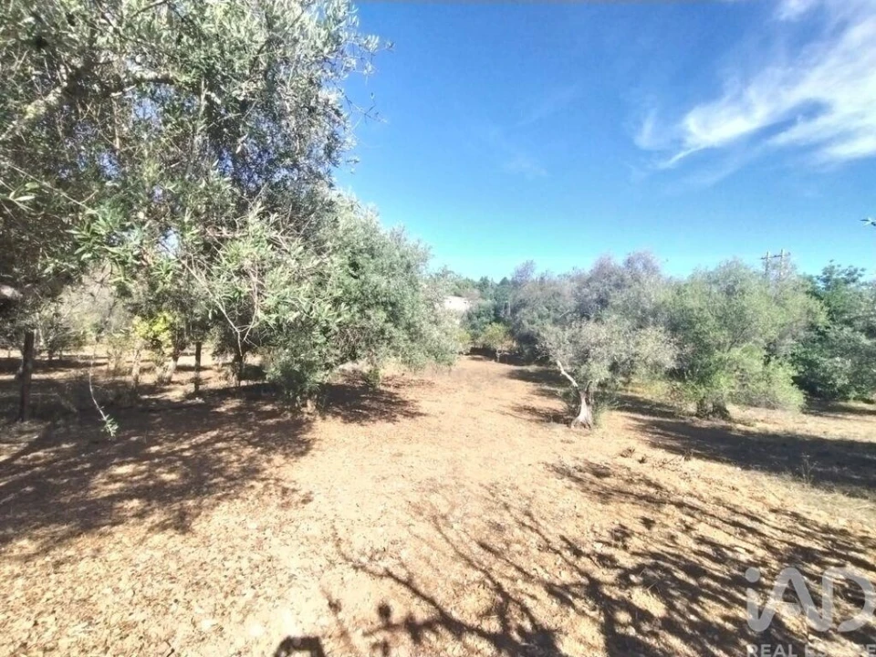 Terreno para Venda em São Brás de Alportel Foto 11