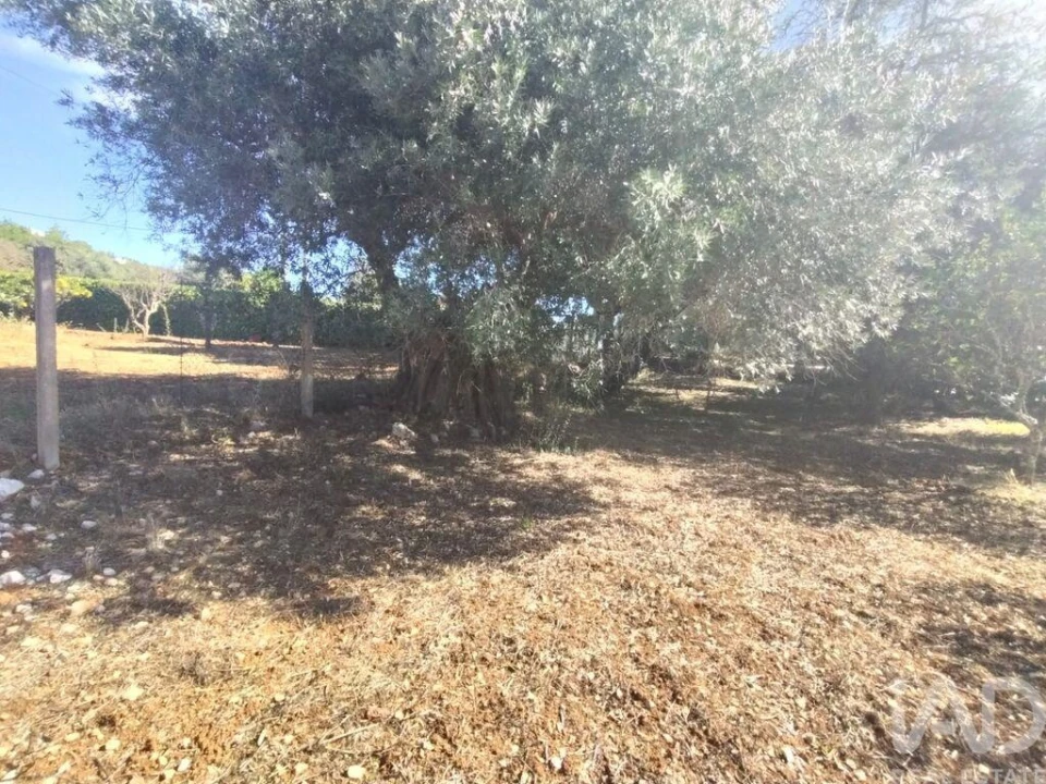 Terreno para Venda em São Brás de Alportel Foto 16