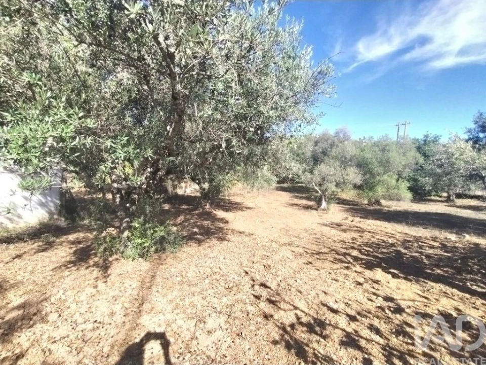 Terreno para Venda em São Brás de Alportel Foto 10