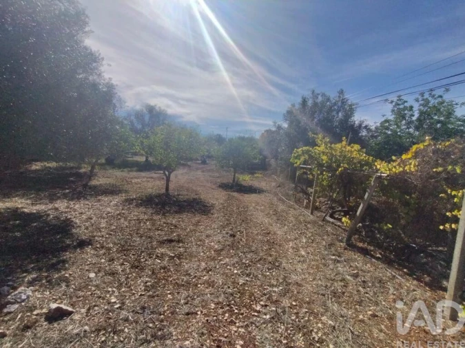 Terreno para Venda em São Brás de Alportel Foto 15