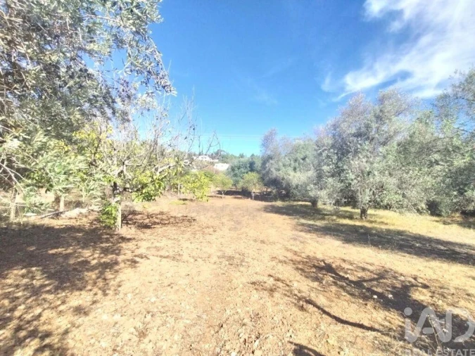 Terreno para Venda em São Brás de Alportel Foto 8