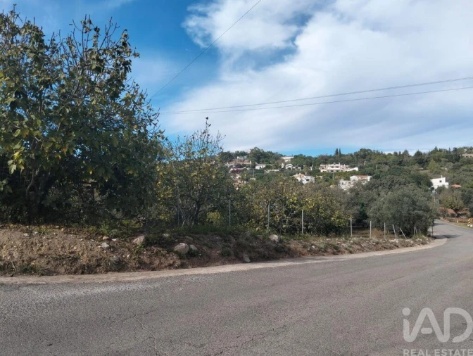 Terreno para Venda em São Brás de Alportel Foto 17