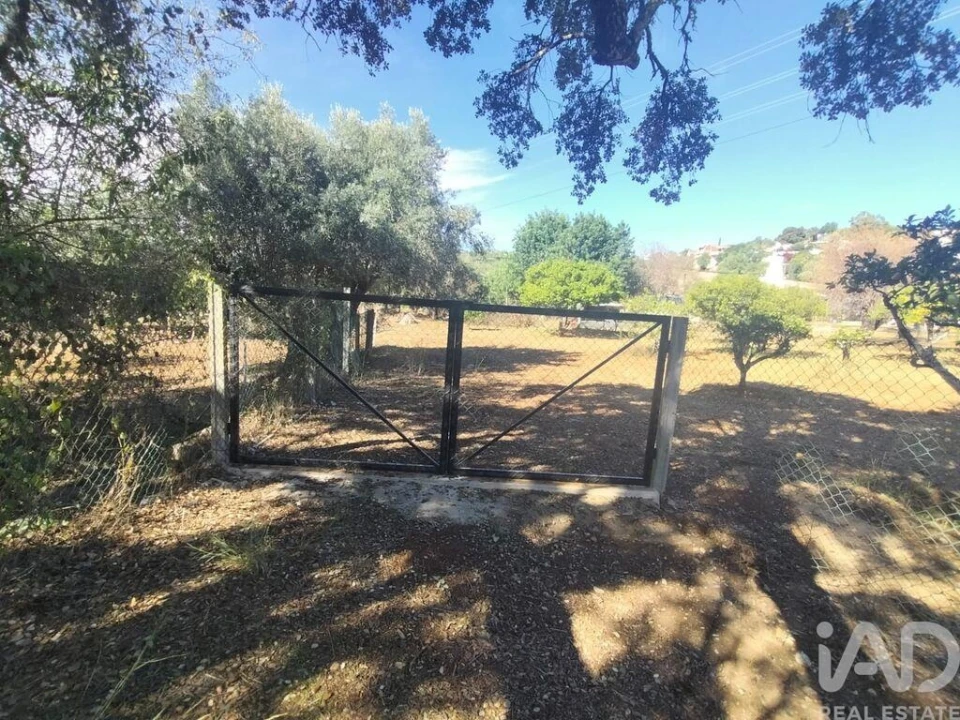 Terreno para Venda em São Brás de Alportel Foto 14