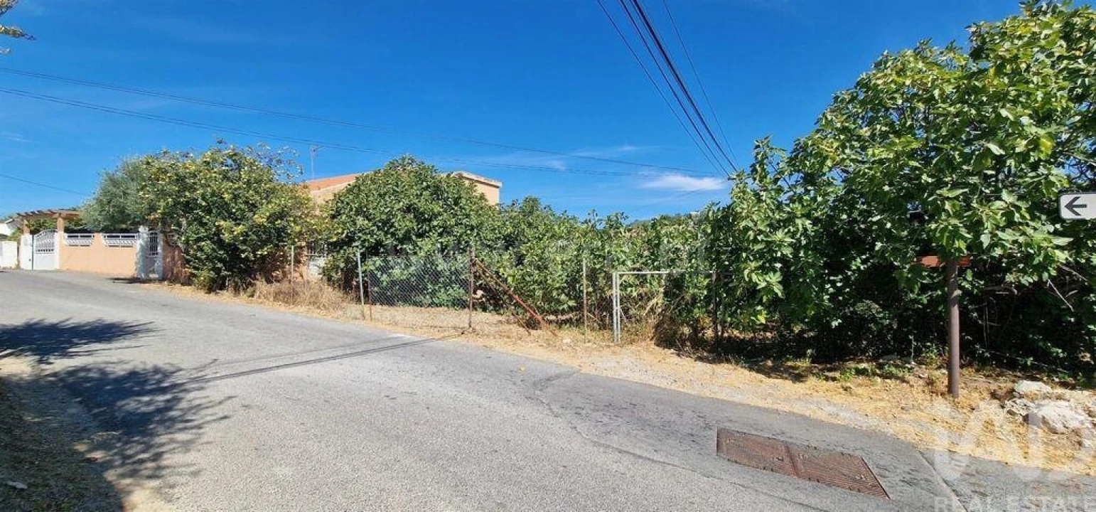 Terreno para Venda em São Brás de Alportel Foto 18