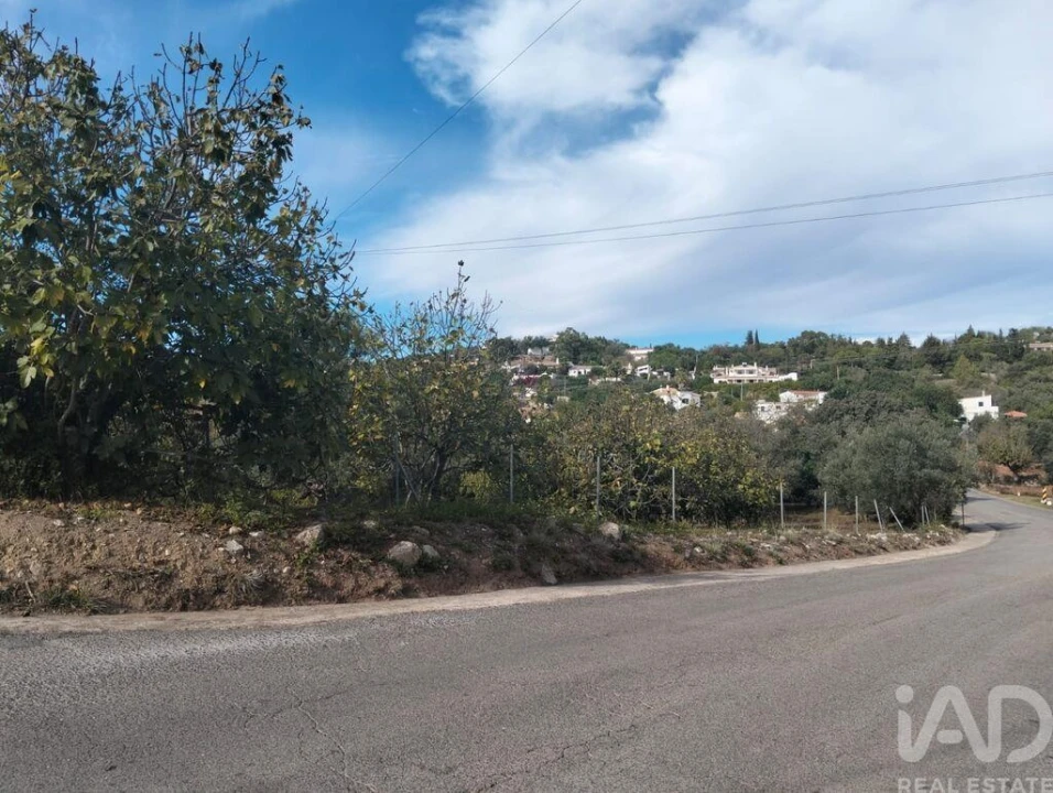 Terreno para Venda em São Brás de Alportel Foto 17