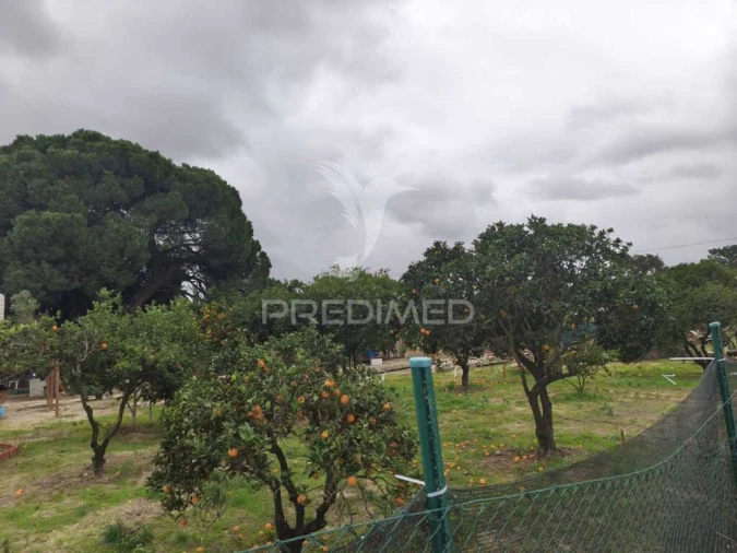 Terreno para Venda em Alhos Vedros Foto 10