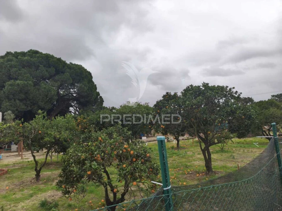 Terreno para Venda em Alhos Vedros Foto 10