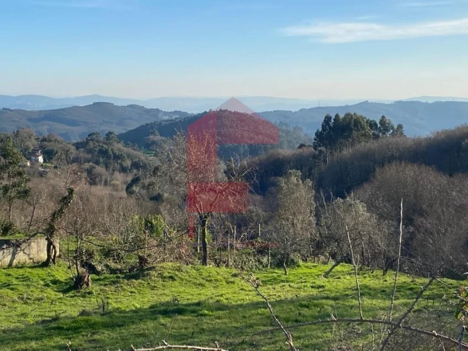 Terreno para Venda em Pico de Regalados, Gondiães e Mós Foto 24