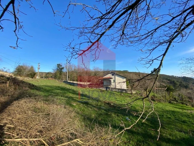 Terreno para Venda em Pico de Regalados, Gondiães e Mós Foto 13