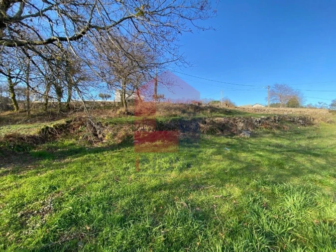 Terreno para Venda em Pico de Regalados, Gondiães e Mós Foto 6