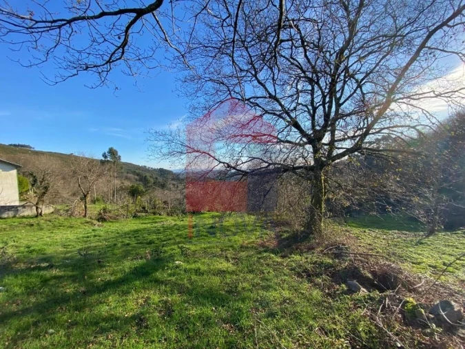 Terreno para Venda em Pico de Regalados, Gondiães e Mós Foto 12