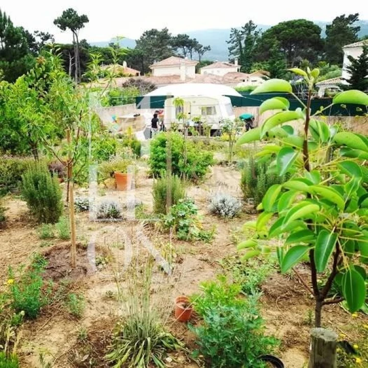 Terreno para Venda em Colares Foto 37