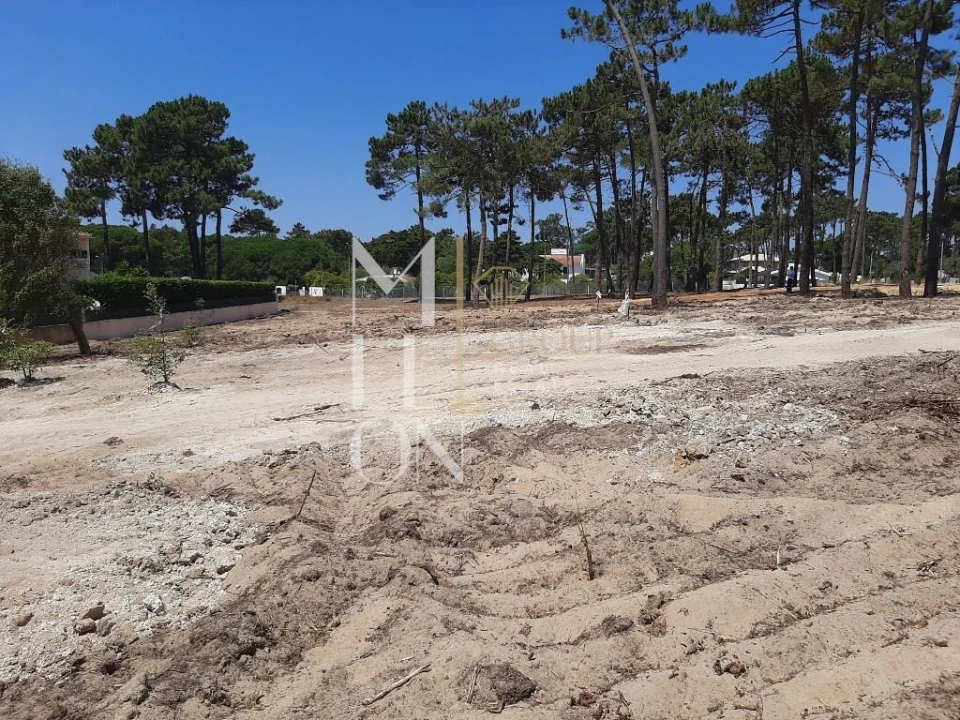 Terreno para Venda em Colares Foto 11