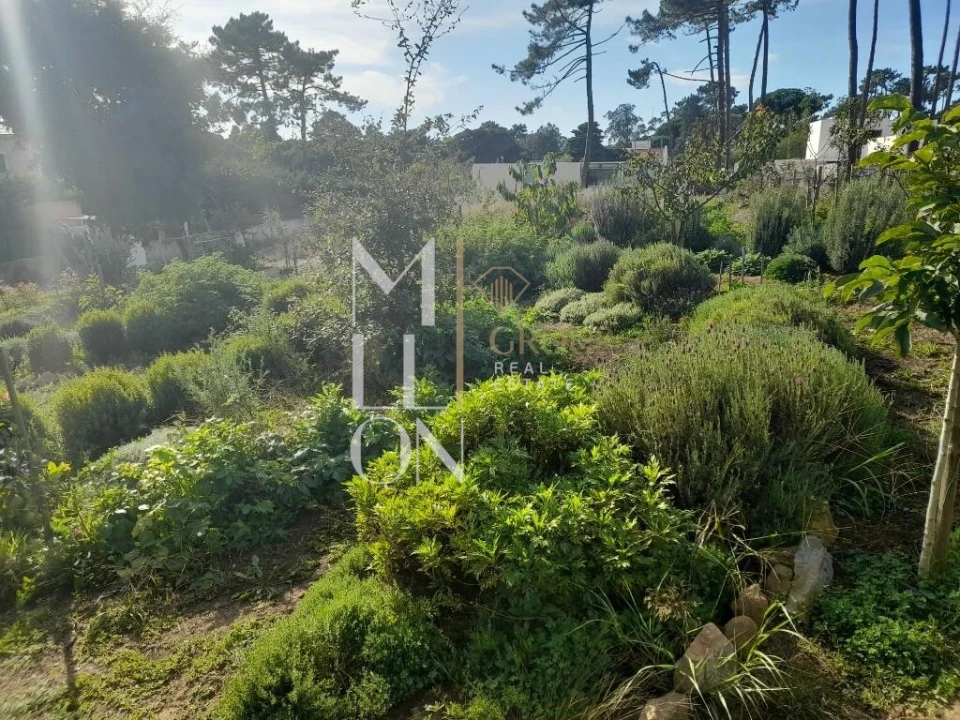Terreno para Venda em Colares Foto 12