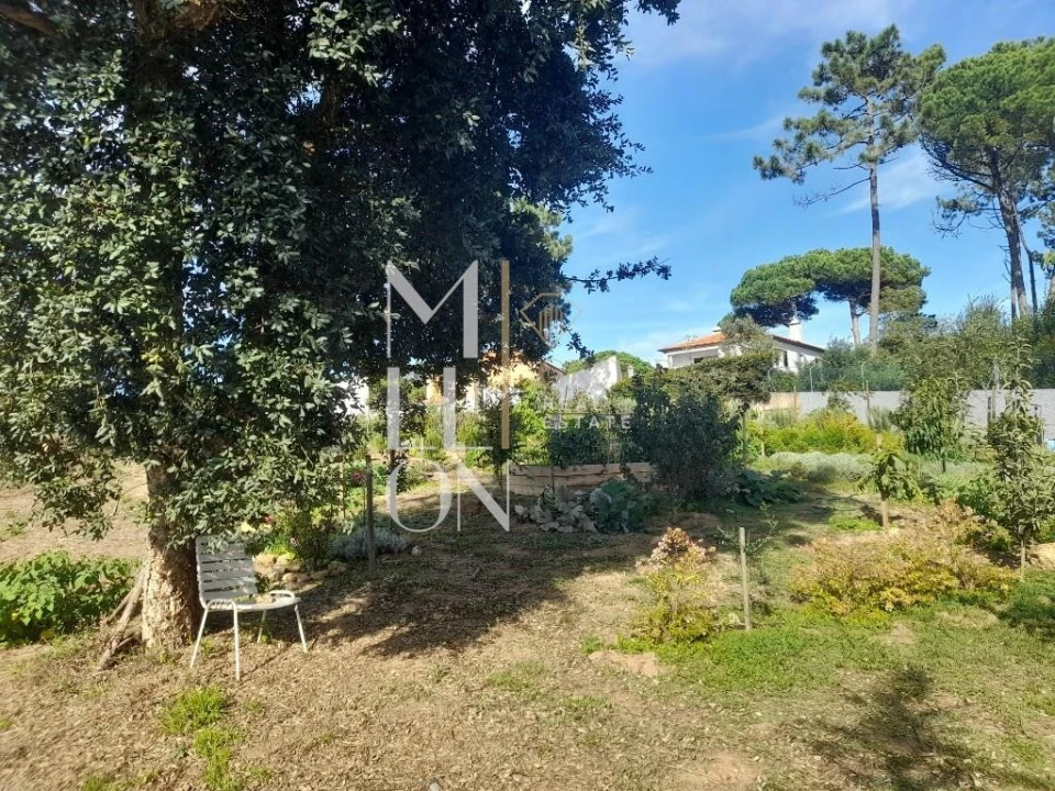 Terreno para Venda em Colares Foto 28