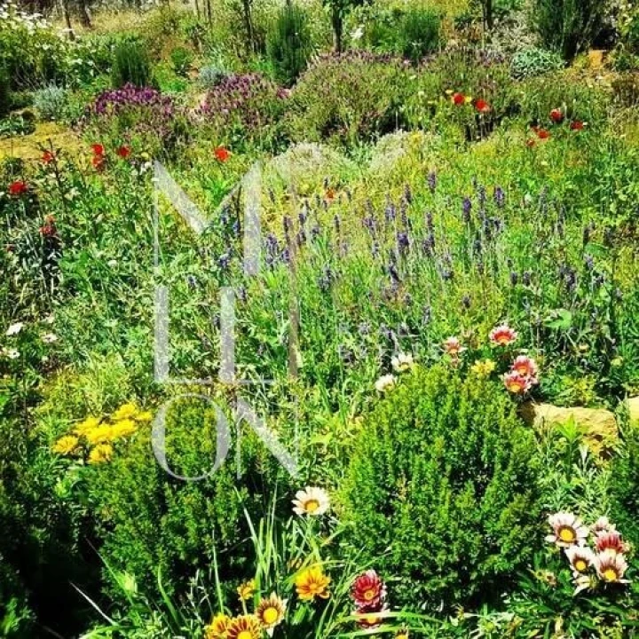 Terreno para Venda em Colares Foto 25