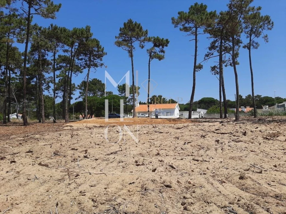 Terreno para Venda em Colares Foto 19