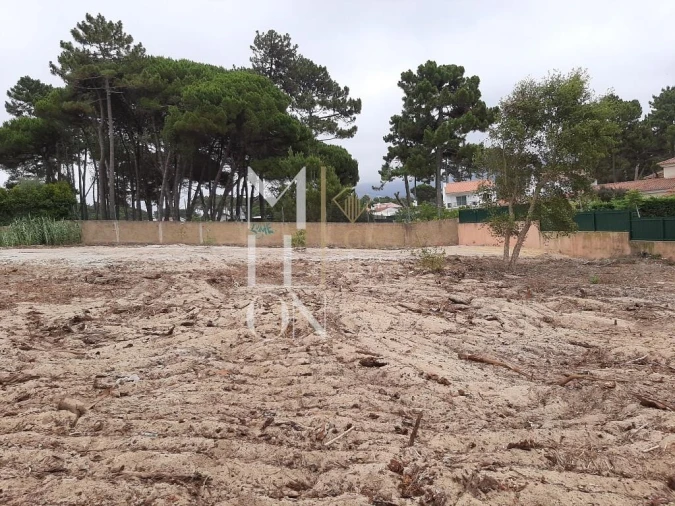 Terreno para Venda em Colares Foto 10