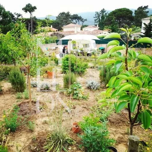 Terreno para Venda em Colares Foto 37
