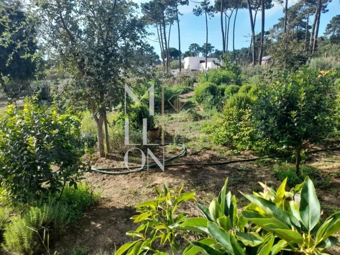 Terreno para Venda em Colares Foto 13