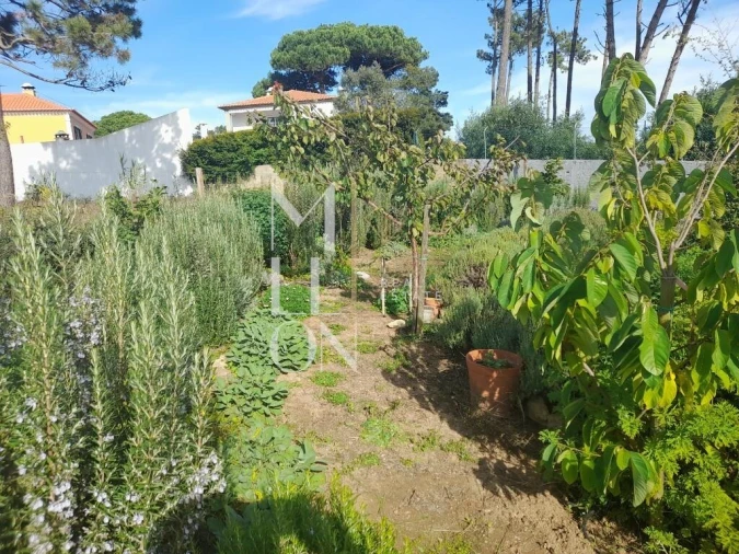 Terreno para Venda em Colares Foto 4