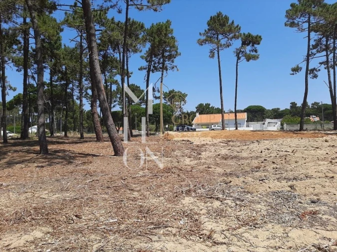 Terreno para Venda em Colares Foto 20