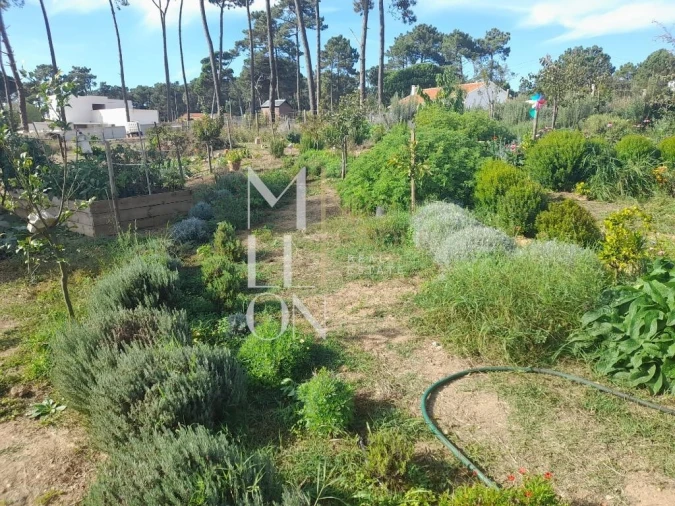 Terreno para Venda em Colares Foto 5