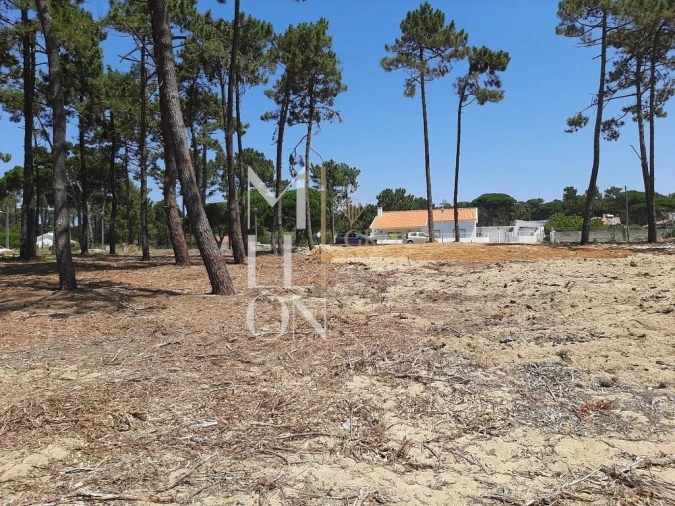 Terreno para Venda em Colares Foto 21