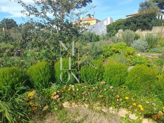 Terreno para Venda em Colares Foto 2