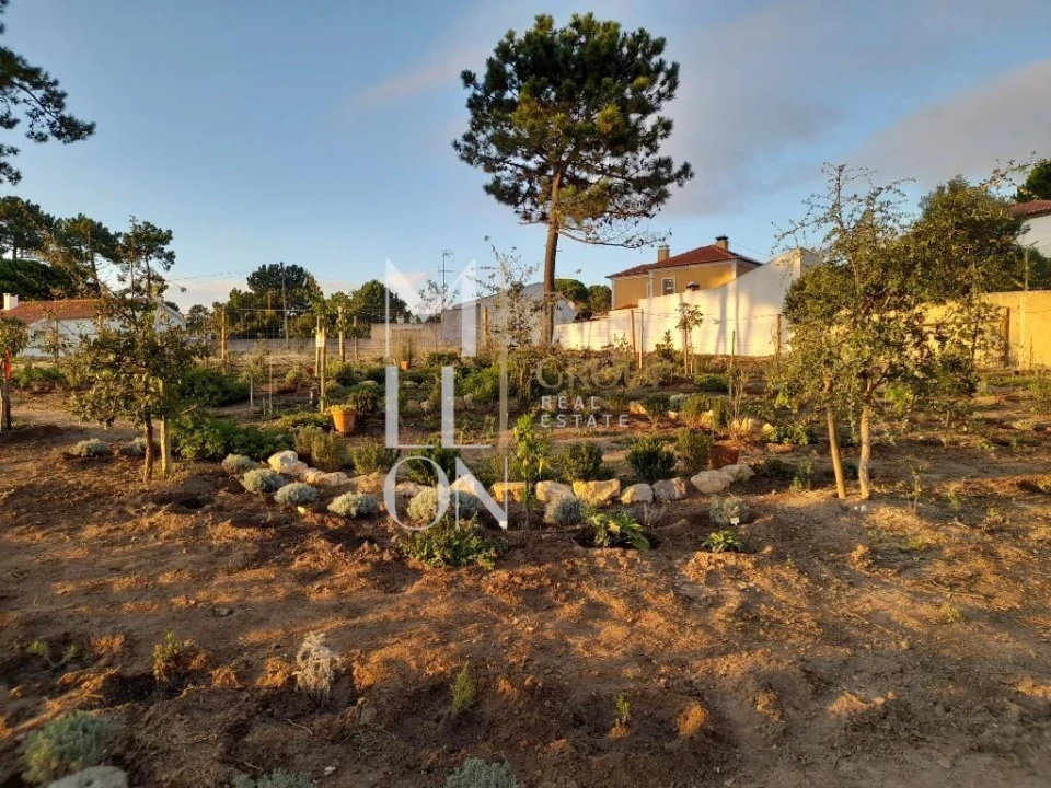 Terreno para Venda em Colares Foto 30