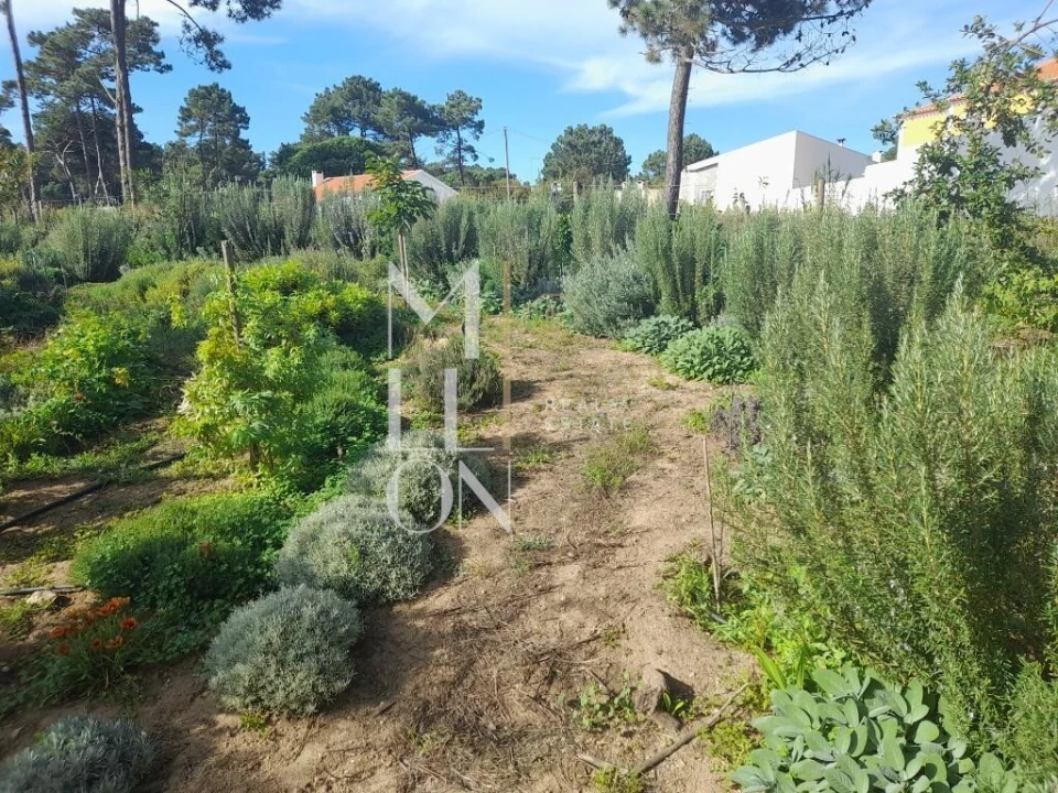 Terreno para Venda em Colares Foto 6