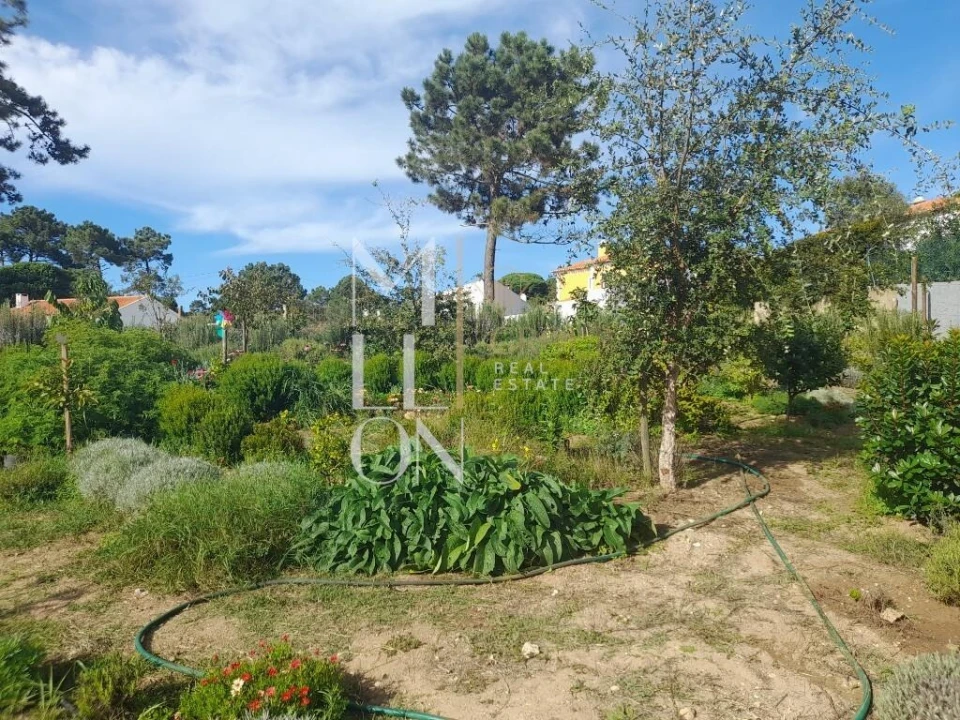 Terreno para Venda em Colares Foto 15