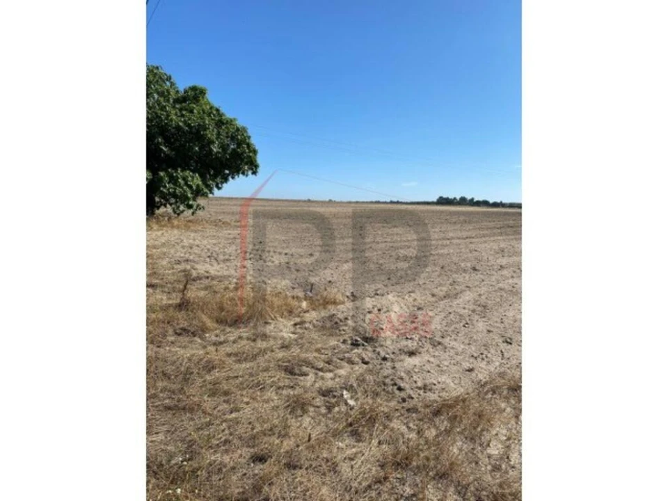 Terreno para Venda em Pegões Foto 9