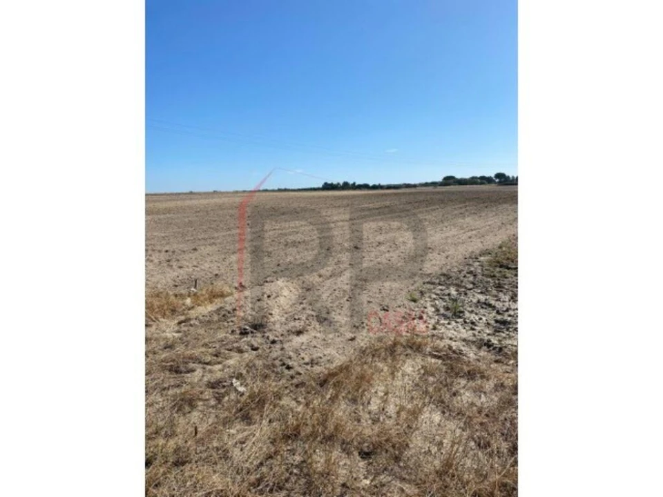 Terreno para Venda em Pegões Foto 8