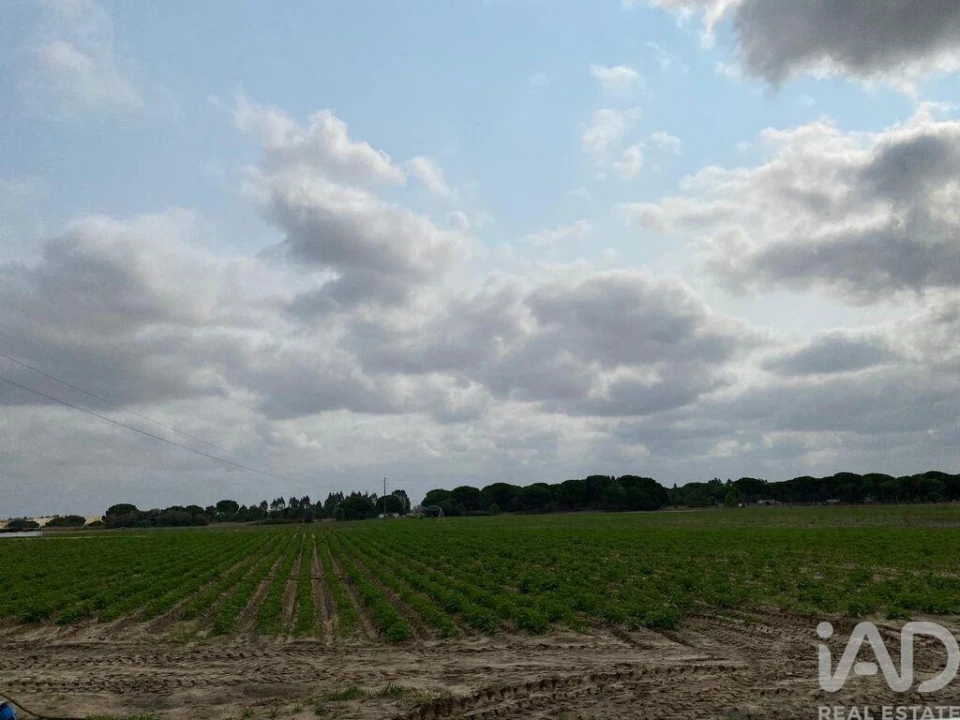 Terreno para Venda em Pegões Foto 1