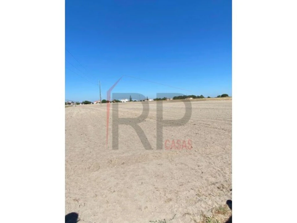 Terreno para Venda em Pegões Foto 3