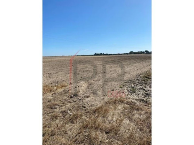 Terreno para Venda em Pegões Foto 8