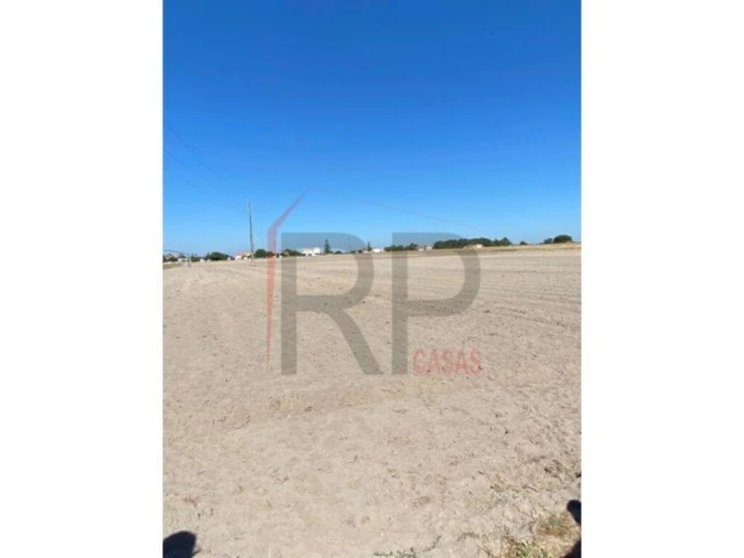 Terreno para Venda em Pegões Foto 3