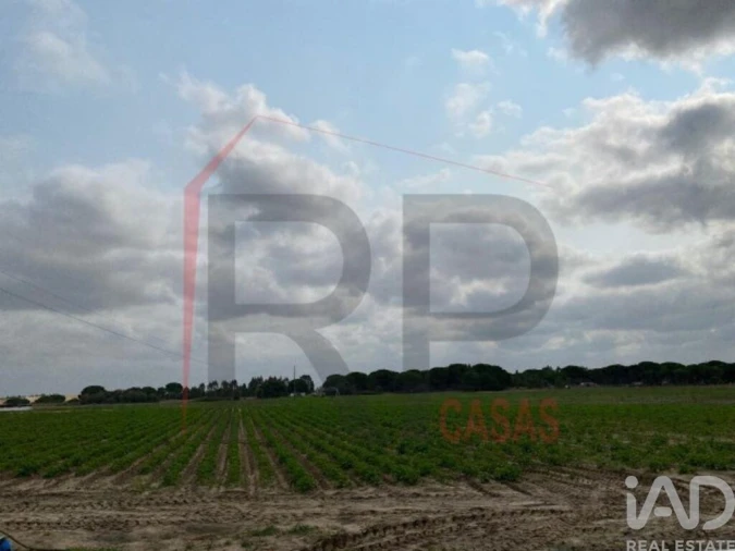 Terreno para Venda em Pegões Foto 1