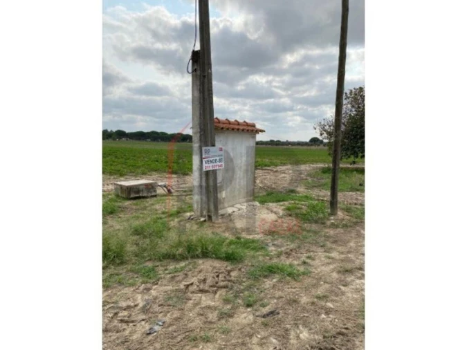 Terreno para Venda em Pegões Foto 2