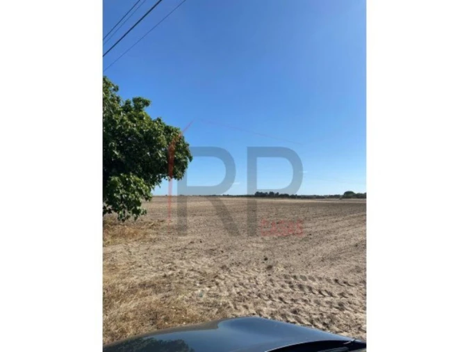 Terreno para Venda em Pegões Foto 10