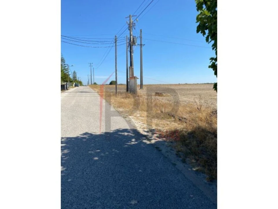 Terreno para Venda em Pegões Foto 4