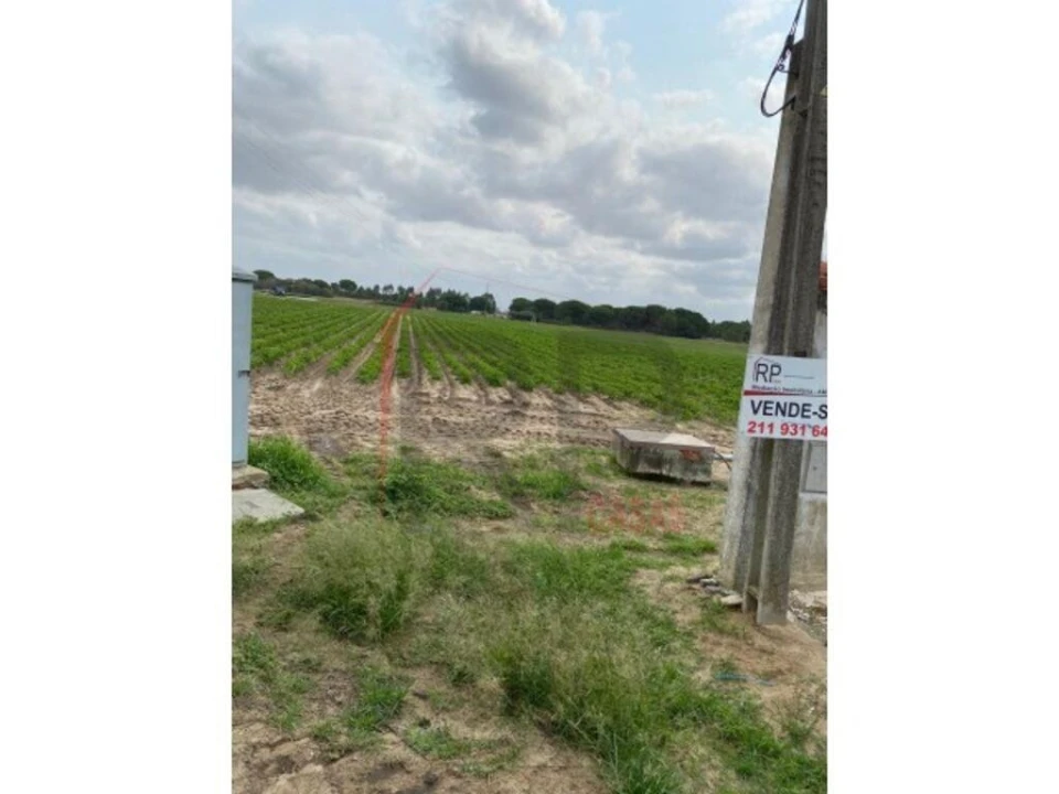 Terreno para Venda em Pegões Foto 6