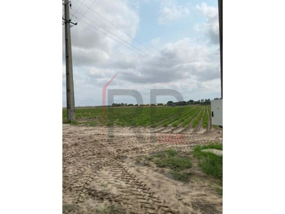 Terreno para Venda em Pegões Foto 7